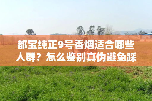 都宝纯正9号香烟适合哪些人群？怎么鉴别真伪避免踩坑？