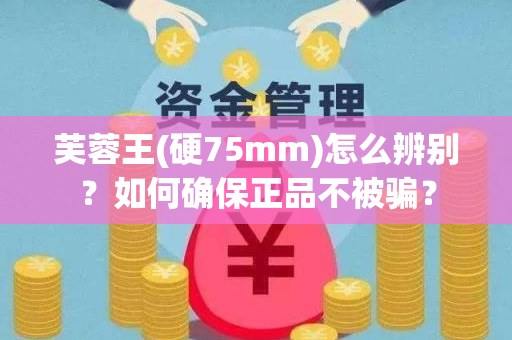 芙蓉王(硬75mm)怎么辨别？如何确保正品不被骗？